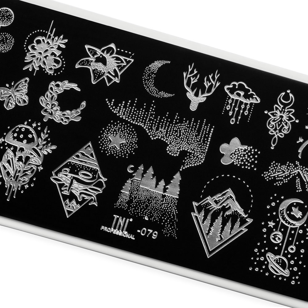 Пластина для стемпинга TNL Premium – galactic mind (079)