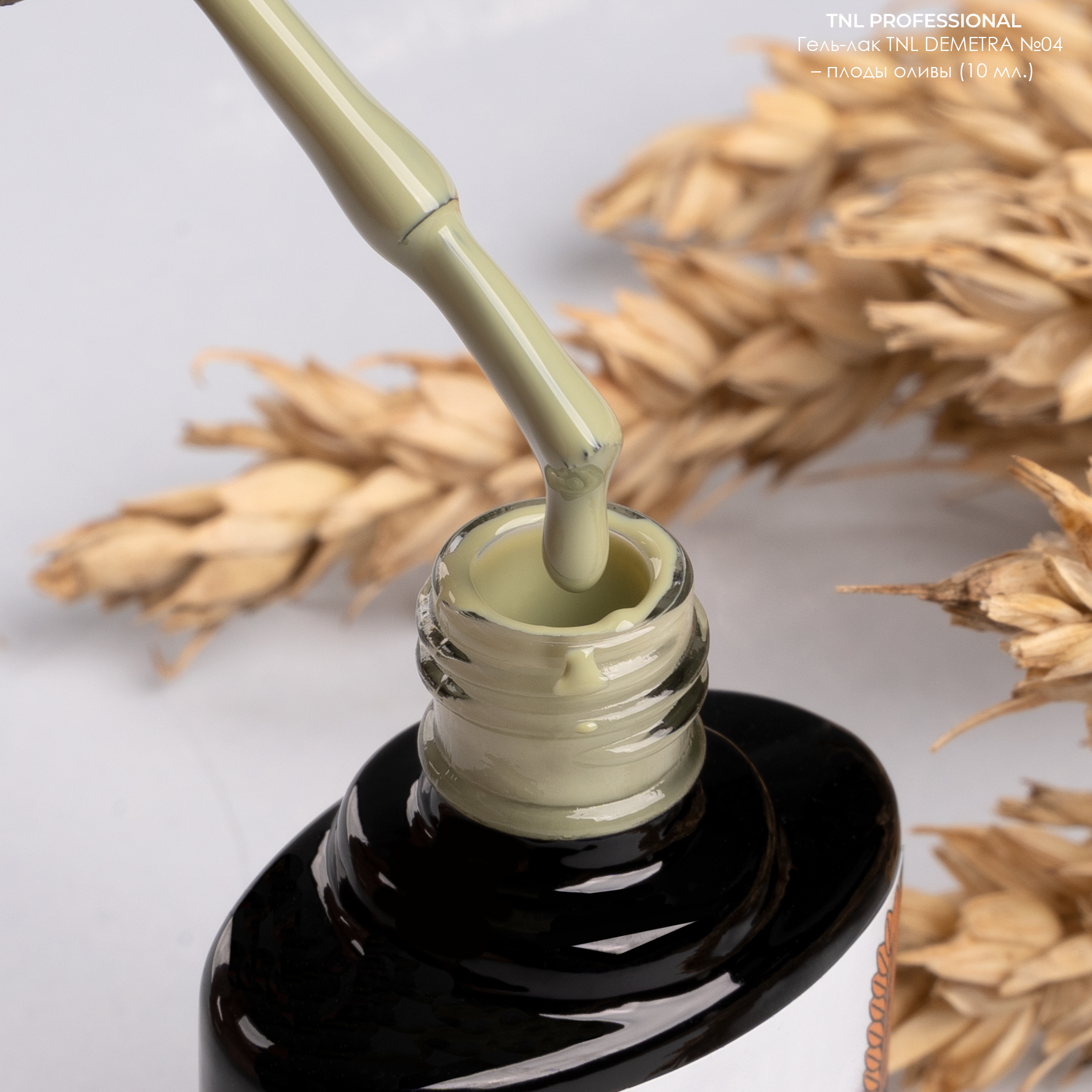 Гель-лак TNL DEMETRA №04 – плоды оливы (10 мл.)