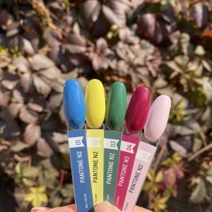 Гель-лак  Pantone №2 02 10мл