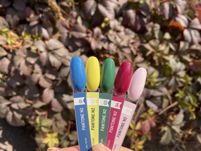 Гель-лак  Pantone №2 02 10мл